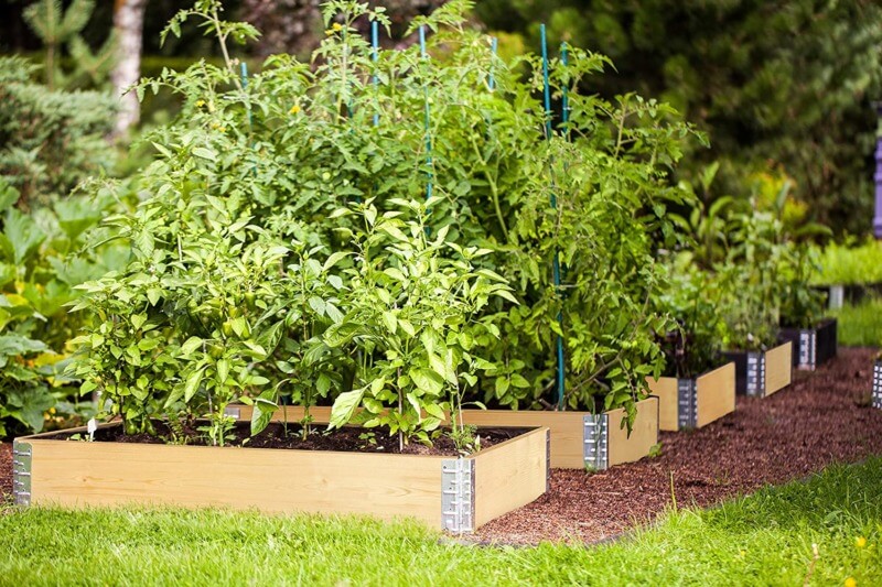 Hochbeet Rahmen 80x60x19cm Palettenrahmen Gartenbeet