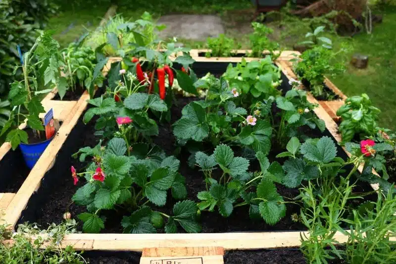 Hochbeet aus Paletten