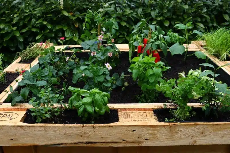 Hochbeet aus paletten selber bauen