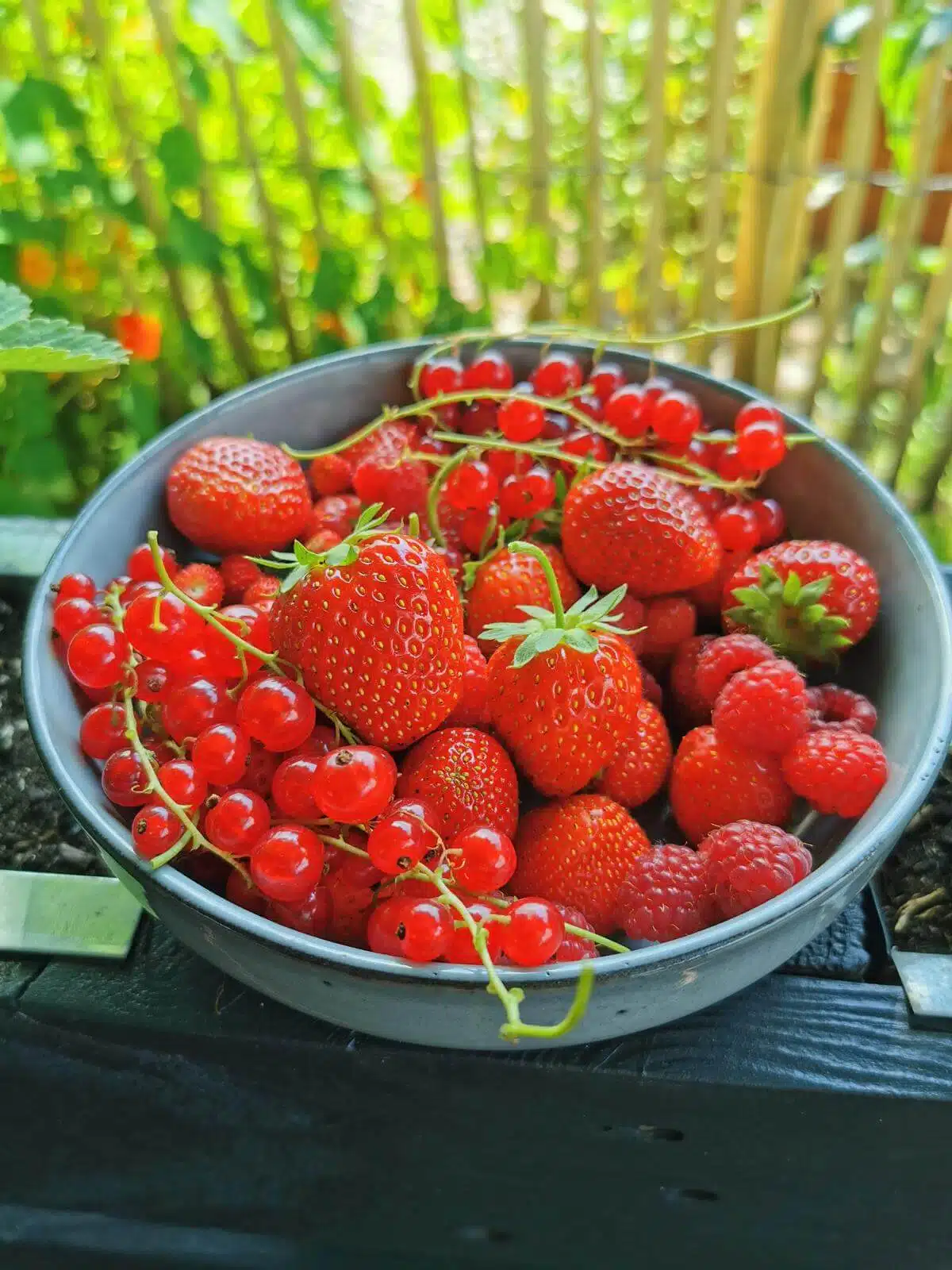 ernte hochbeet aus palettenrahmen palettenaufsatzrahmen