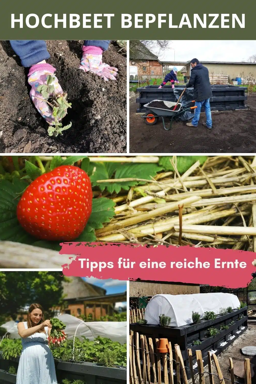 hochbeet-bepflanzen-bepflanzung-paletten-beet