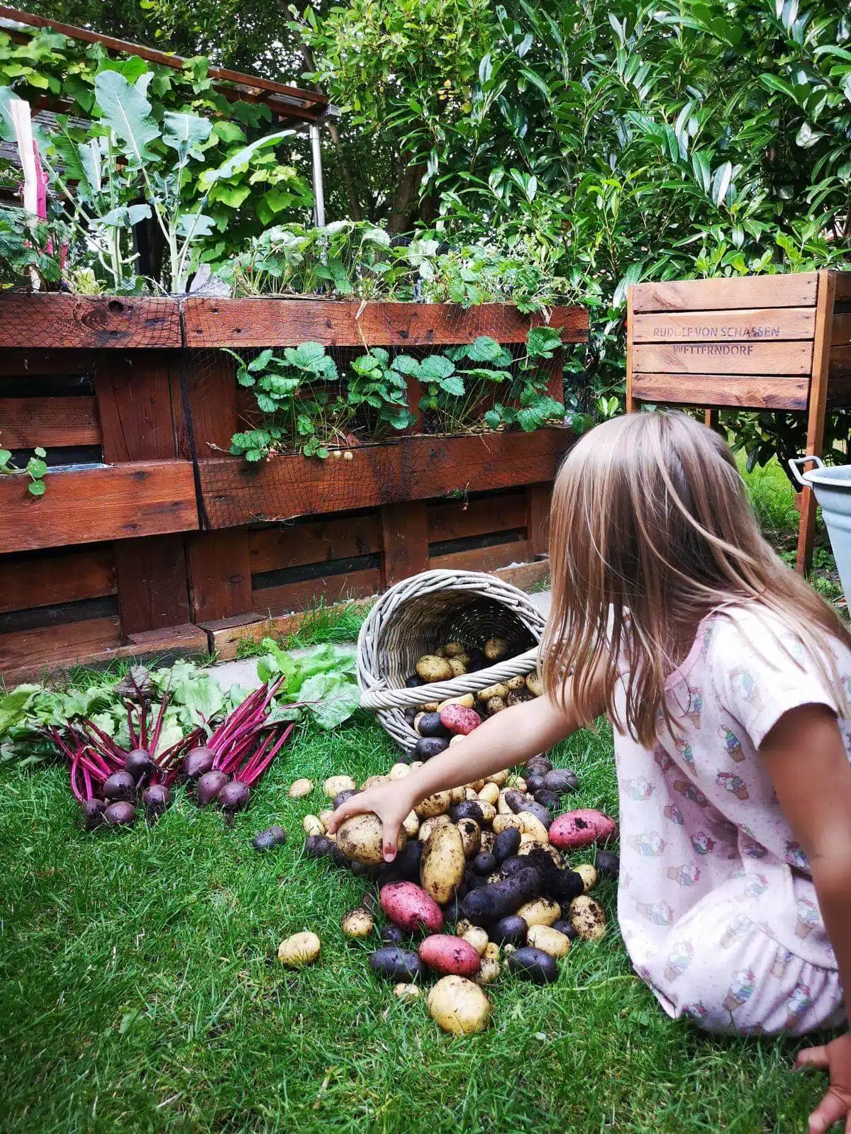 hochbeet garten fuer kinder bauen