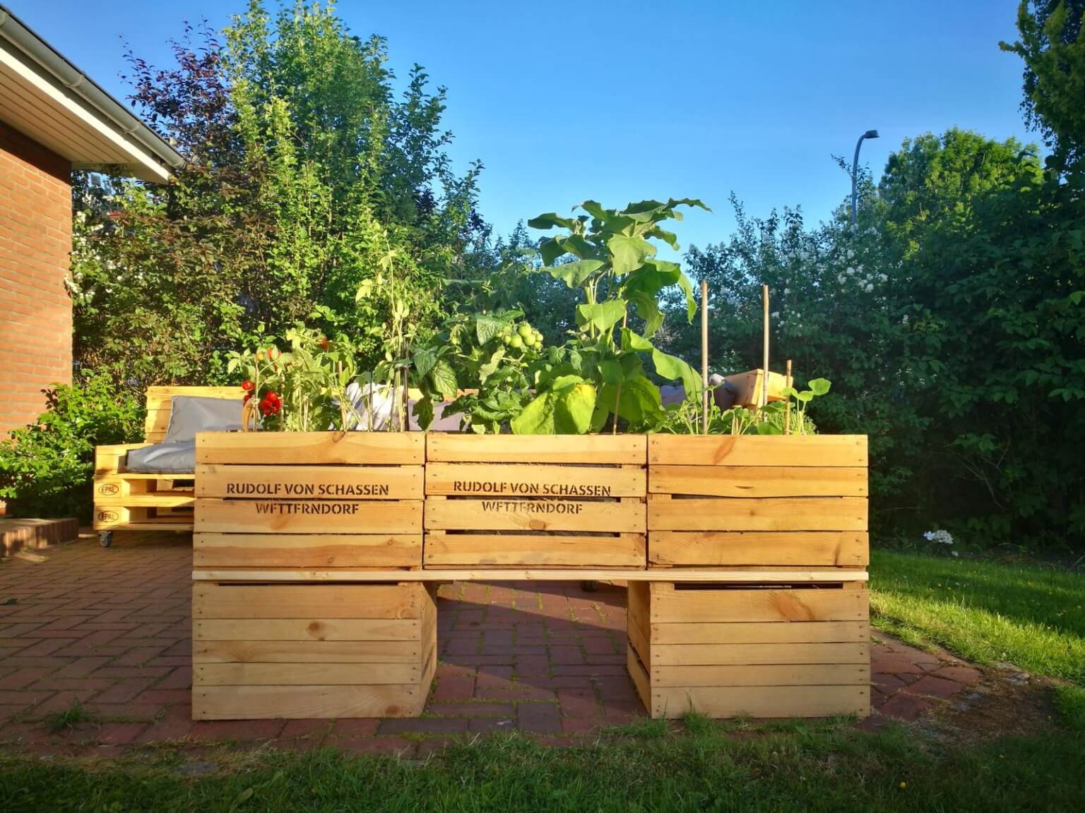 ᐅ Weinkisten bepflanzen Obstkisten Pflanzen Deko Ideen