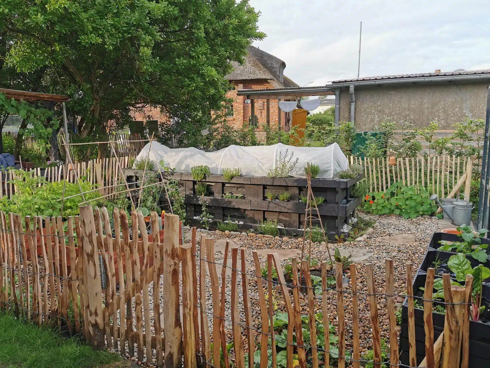 hochbeet paletten pflanzen bepflanzung