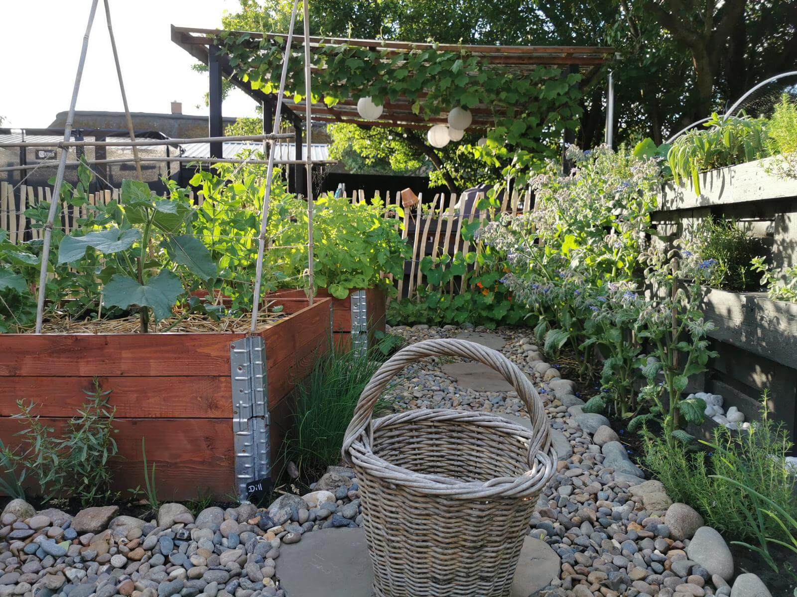 hochbeet palettenrahmen im garten bepflanzen