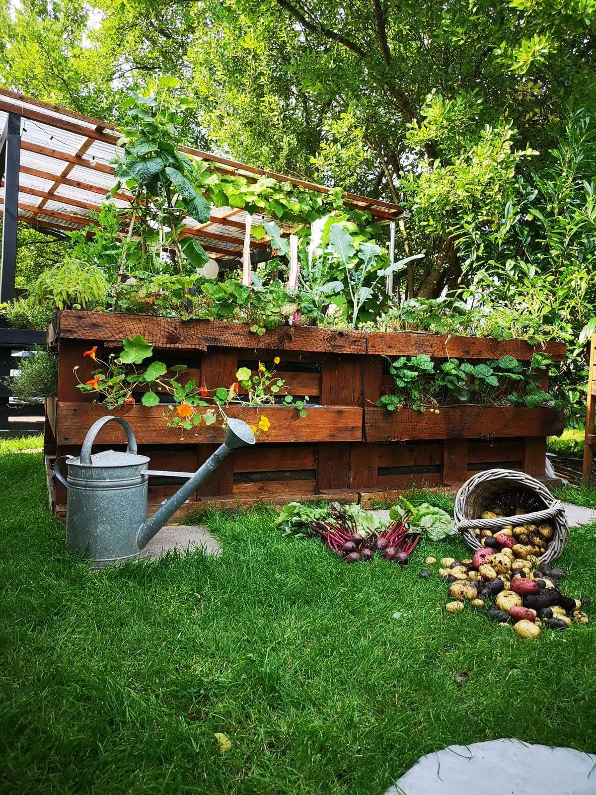 paletten bepflanzen blumenkasten