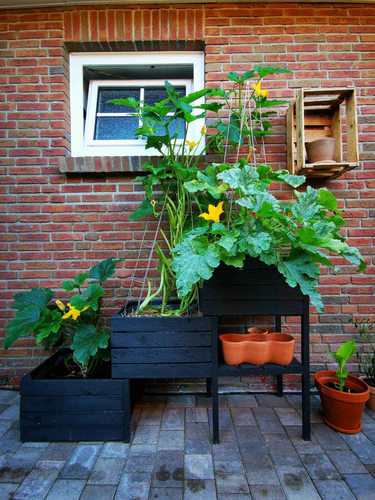 weinkisten beet bepflanzen