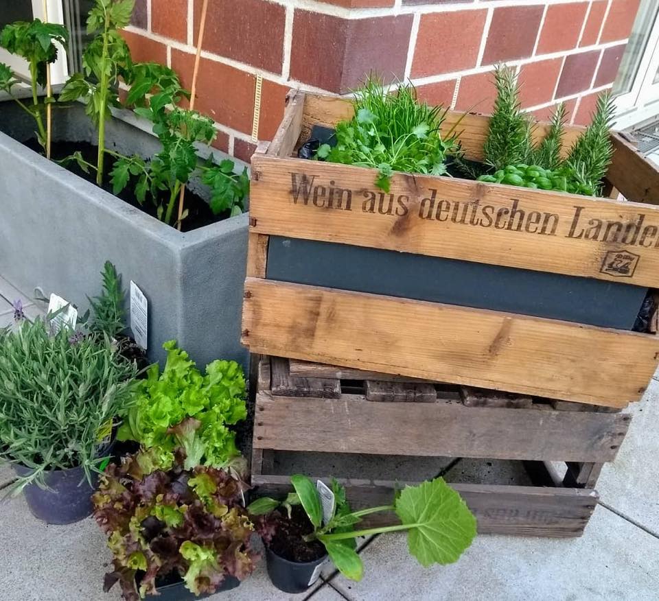 weinkisten im garten dekorieren